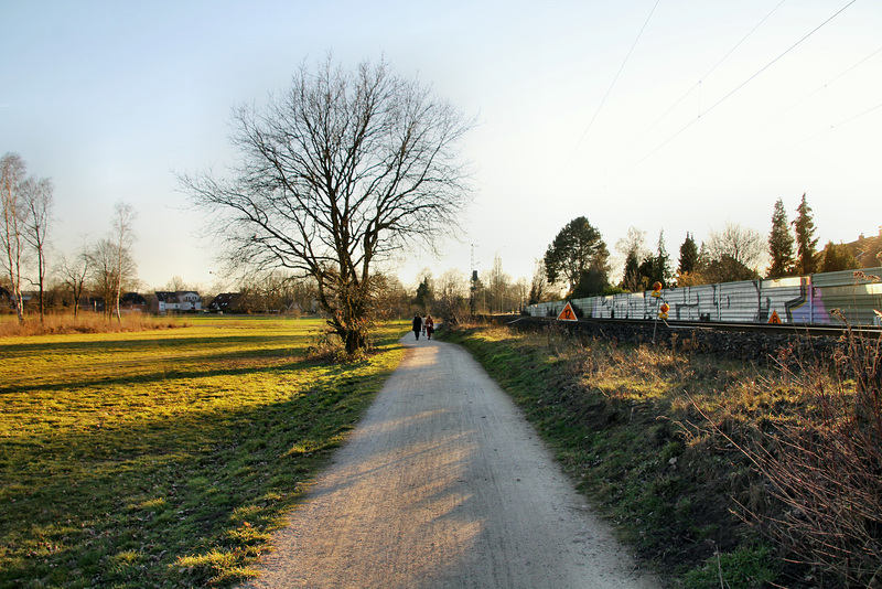 Weg im Westuferpark neben der Bahnstrecke Wanne-Eickel–Hamburg (Haltern am See) / 24.02.2019