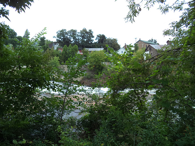 Feuillage et rapides / Foliage and rapids