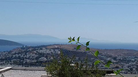 View from Eve's balcony!!!