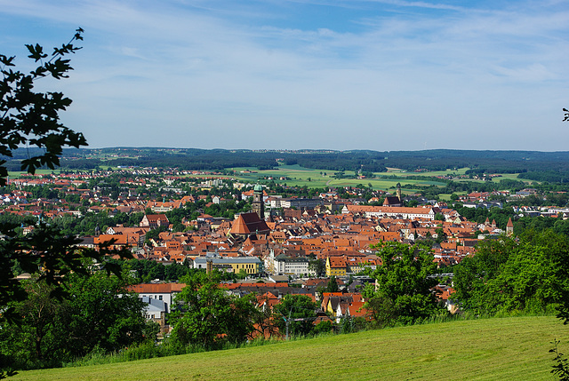 Amberg, Basilica Minor St. Martin (PiP)