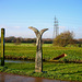 Beacon Way Marker at the River Tame in Sandwell Valley