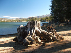 Union Reservoir