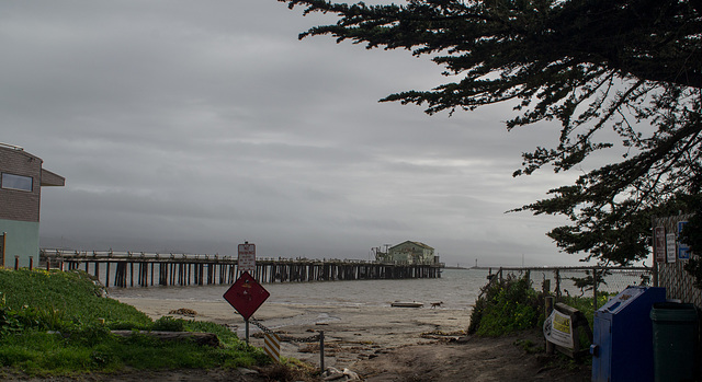 Pillar Point Harbor (#0022)