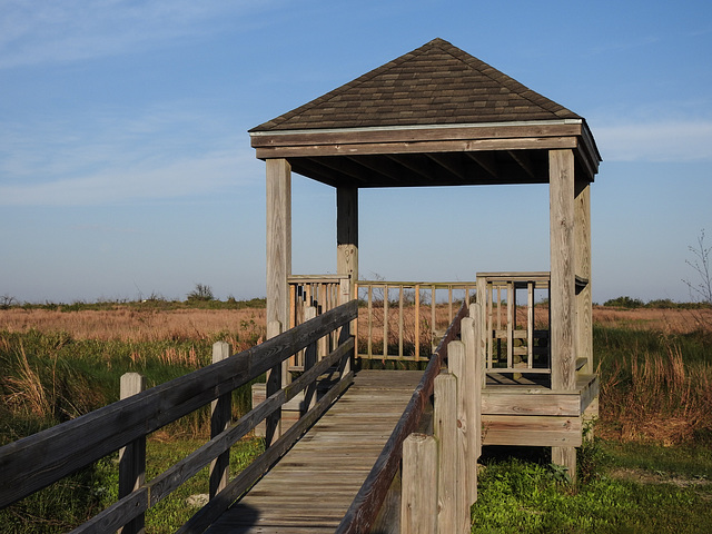 Day 4, small shelter/lookout, Sedge Wren area