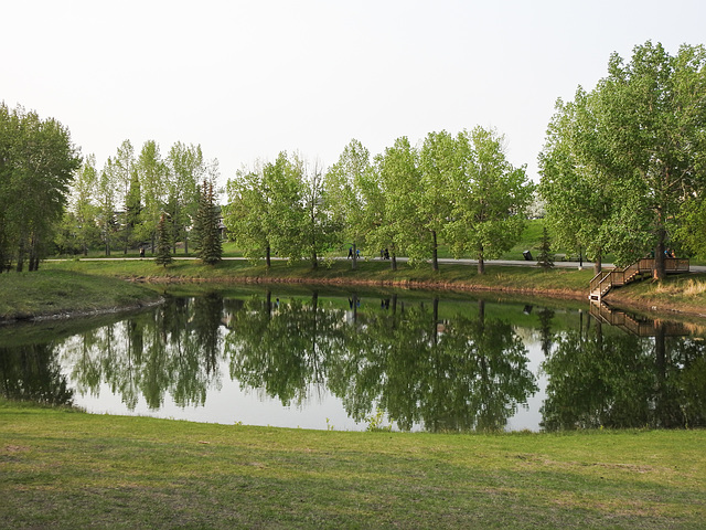 Small pond at Carburn Park