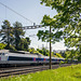 090507 TGV Malley B