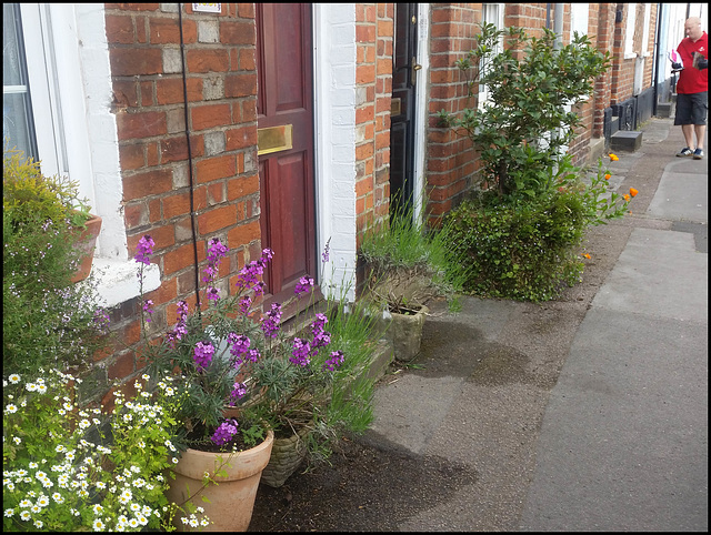 doorstep gardens