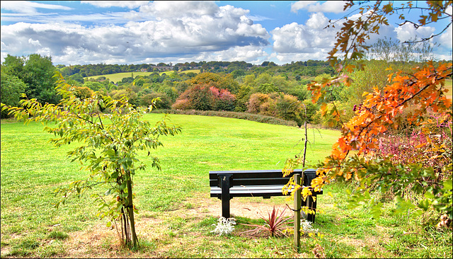 HBM............ A place to sit at Oakwell Hall