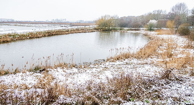 Burton Wetlands