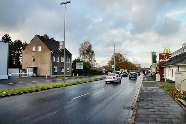 B226 Dorstener Straße (Bochum-Hofstede) / 11.11.2023