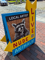PXL 20250809 193654666-001-Live Nude Animals