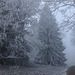 DSC03420 DSC03420