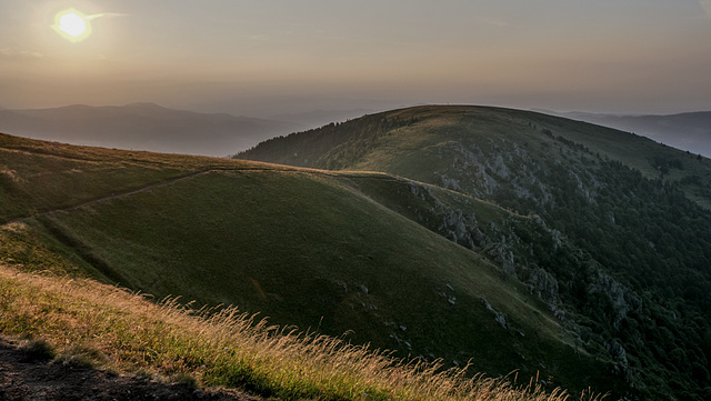 velvet dawn in the Vosges