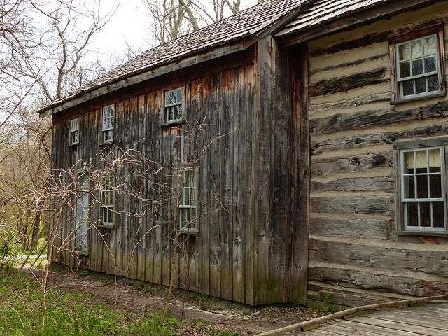 Day 3, back of DeLaurier house, Pt Pelee