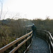 Walkway to the Bird observation site Forge Mill Lake in Sandwell Valley