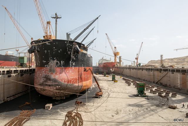 OIB Reunion, Duqm 2019