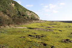 Green Beach