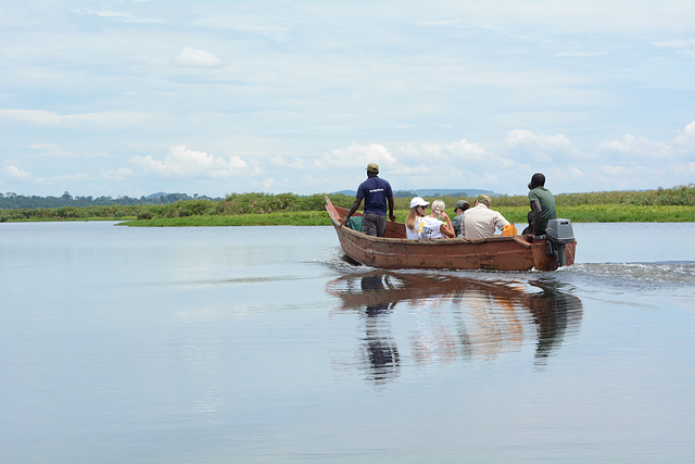 Uganda, Bird Watching on the Lake of Victoria