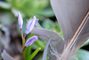 DSCF1745