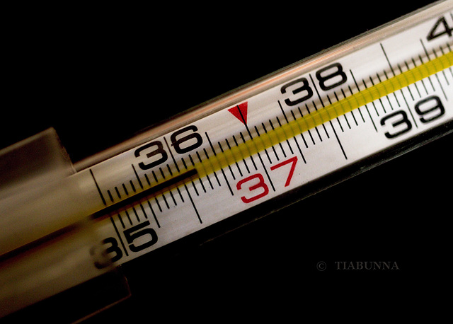 Macro thermometer