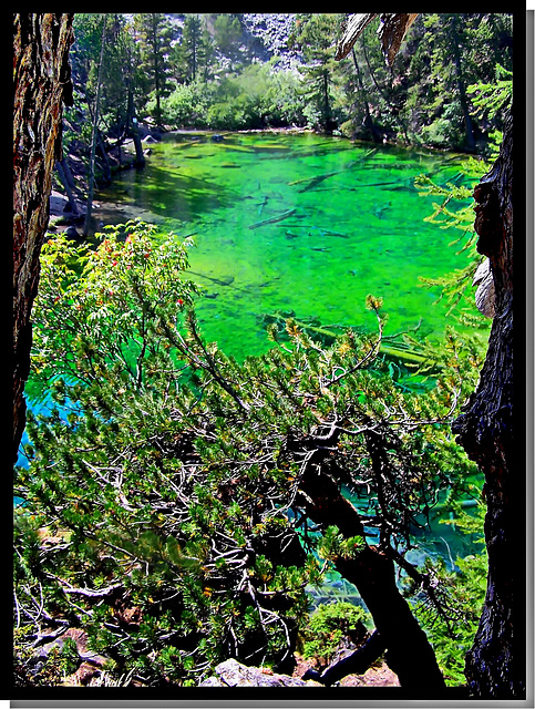 Il lago Verde in Valle Stretta