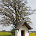 Kapelle im Löwenzahnmeer