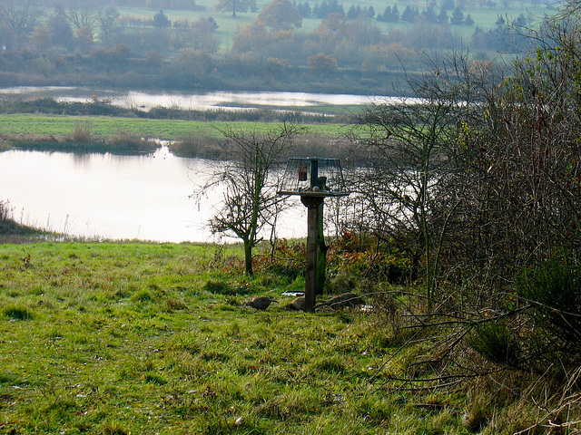 Looking towards Forge Mill Lake from the RSPB site in Sandwell Valley