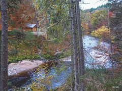 The Dunearn Burn walk - Earl of Moray's estate