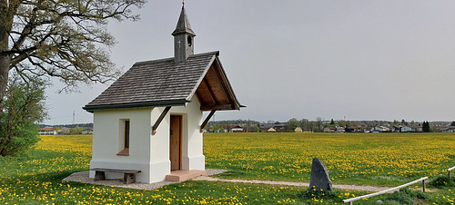 Kapelle im Löwenzahnmeer