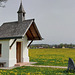 Kapelle im Löwenzahnmeer