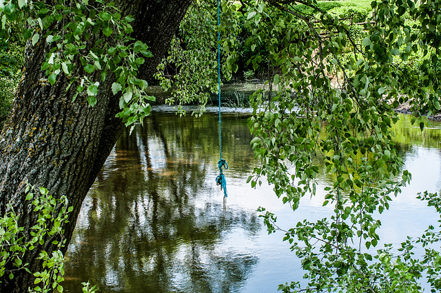 Blue Rope