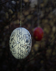 Eier im Baum