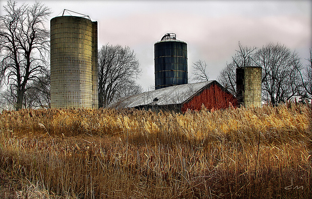 November in Michigan