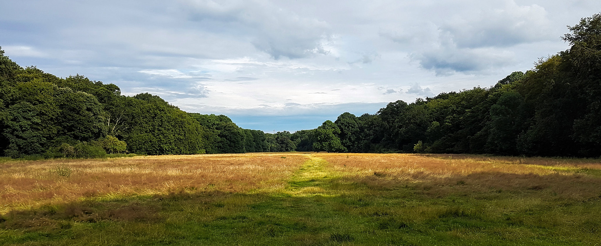 Köln - Gleueler Wiese nahe dem Decksteiner Weiher