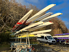 Sculls at the Inverness Heads meet.