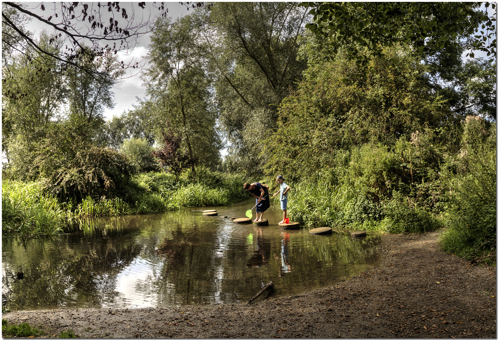 The River Colne, Hertfordshire