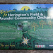 Herington's Field and Arundel Community Orchard