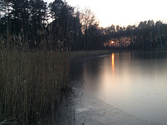 52/365 - Sonnenuntergang am Faulen Luch