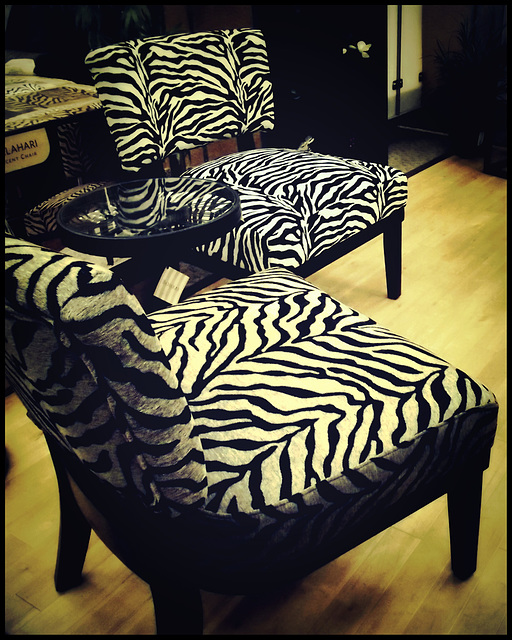 The zebra section