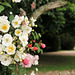 Les jardins du Château d'Azay-le-Ferron