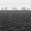 DSCF2445-
