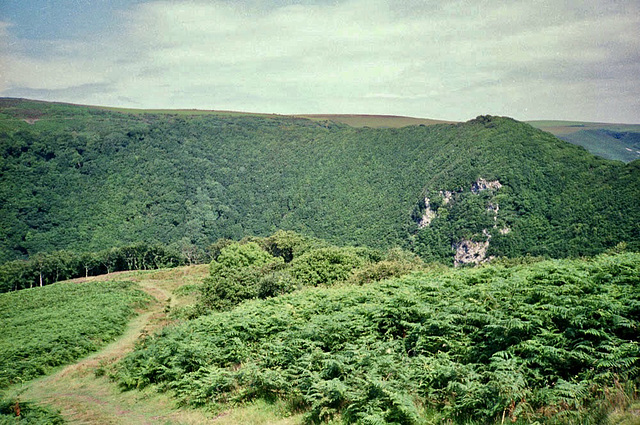 Looking over the East Lyn River from near Myrtleberry Cleave (Scan from July 1991)