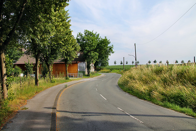 Holthauser Straße (Dortmund-Holthausen) / 22.06.2019