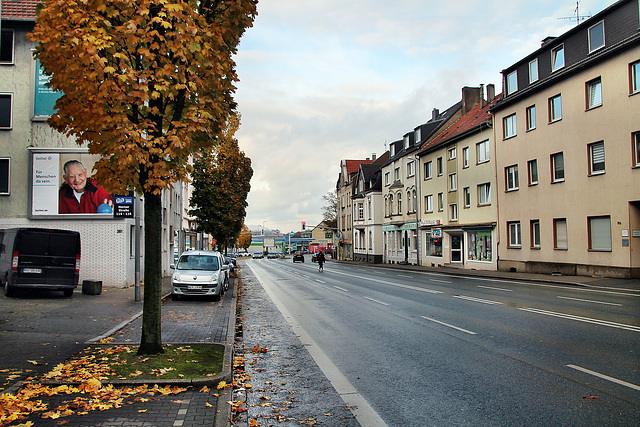 Herner Straße (Bochum-Riemke) / 11.11.2023