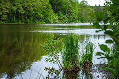 L'Étang du Pont d'Oye et le long de la Rulles