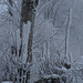 DSC03424 DSC03424