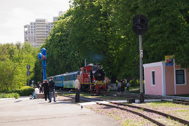 Der Zug fährt am Bahnhof Wyschenka ab