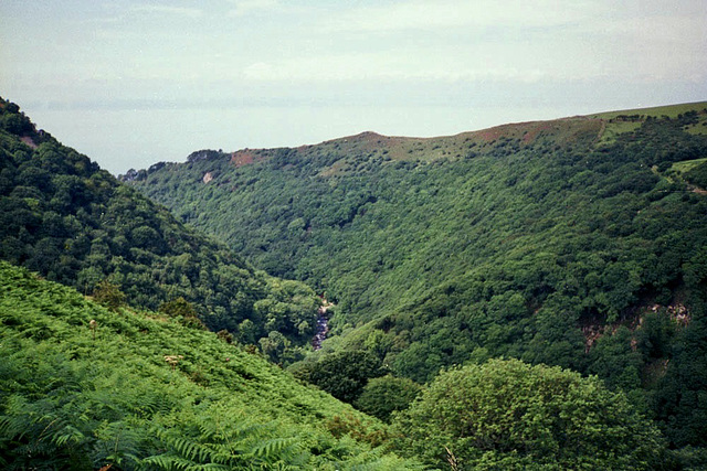 Looking downstream on the East Lyn River towards Lynmouth (Scan from July 1991)