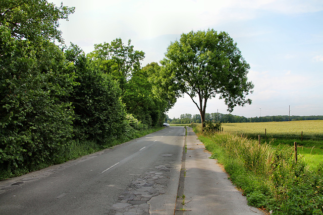 Holthauser Straße (Dortmund-Holthausen) / 22.06.2019