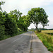 Holthauser Straße (Dortmund-Holthausen) / 22.06.2019